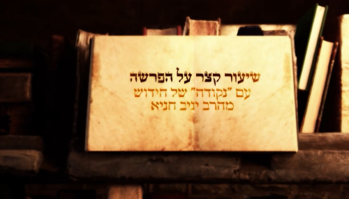 שיעורי וידאו שורש